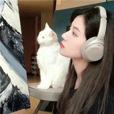 亨利你这个大笨蛋